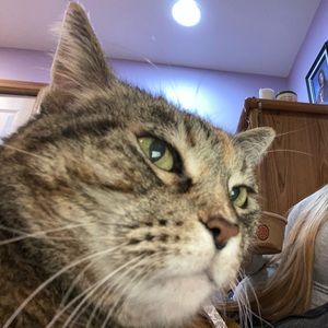 Meet your Posher, Joanne